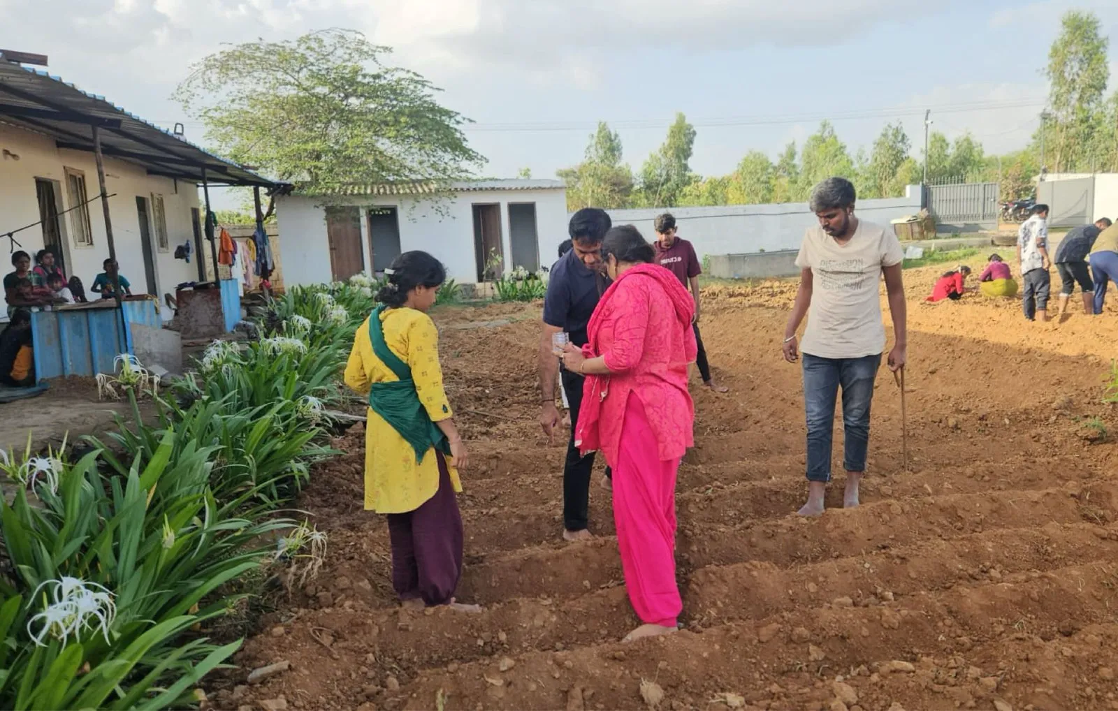 Colleagues working the freshly turned rows at the planting site.