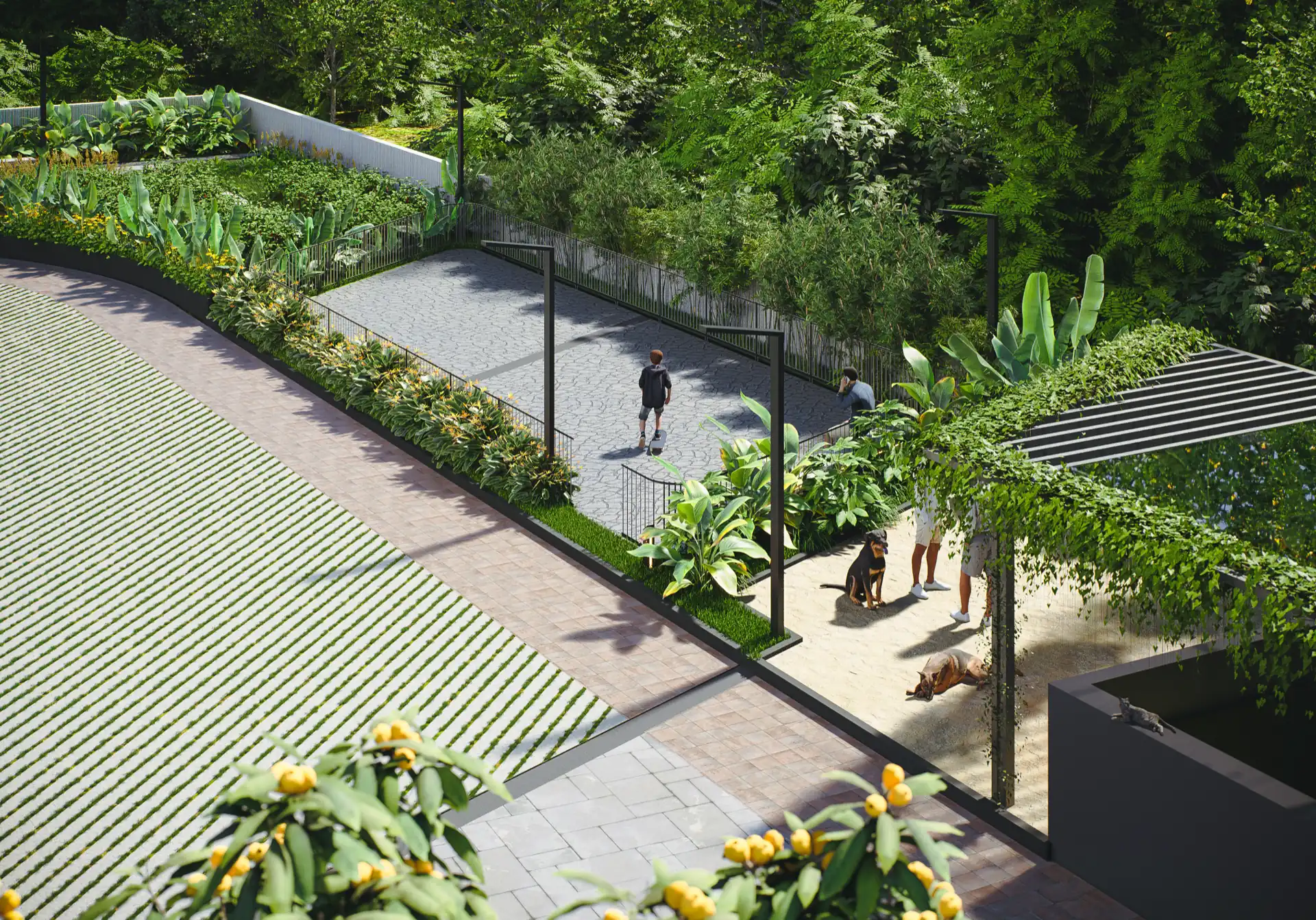Elevated view of the podium landscape, with a paved skating area and the pet park alongside